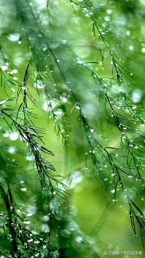 素衣輕拂圓球手持细雨斜风晚更多打一准确生肖精选解析、解释与落实、专家解答解释落实